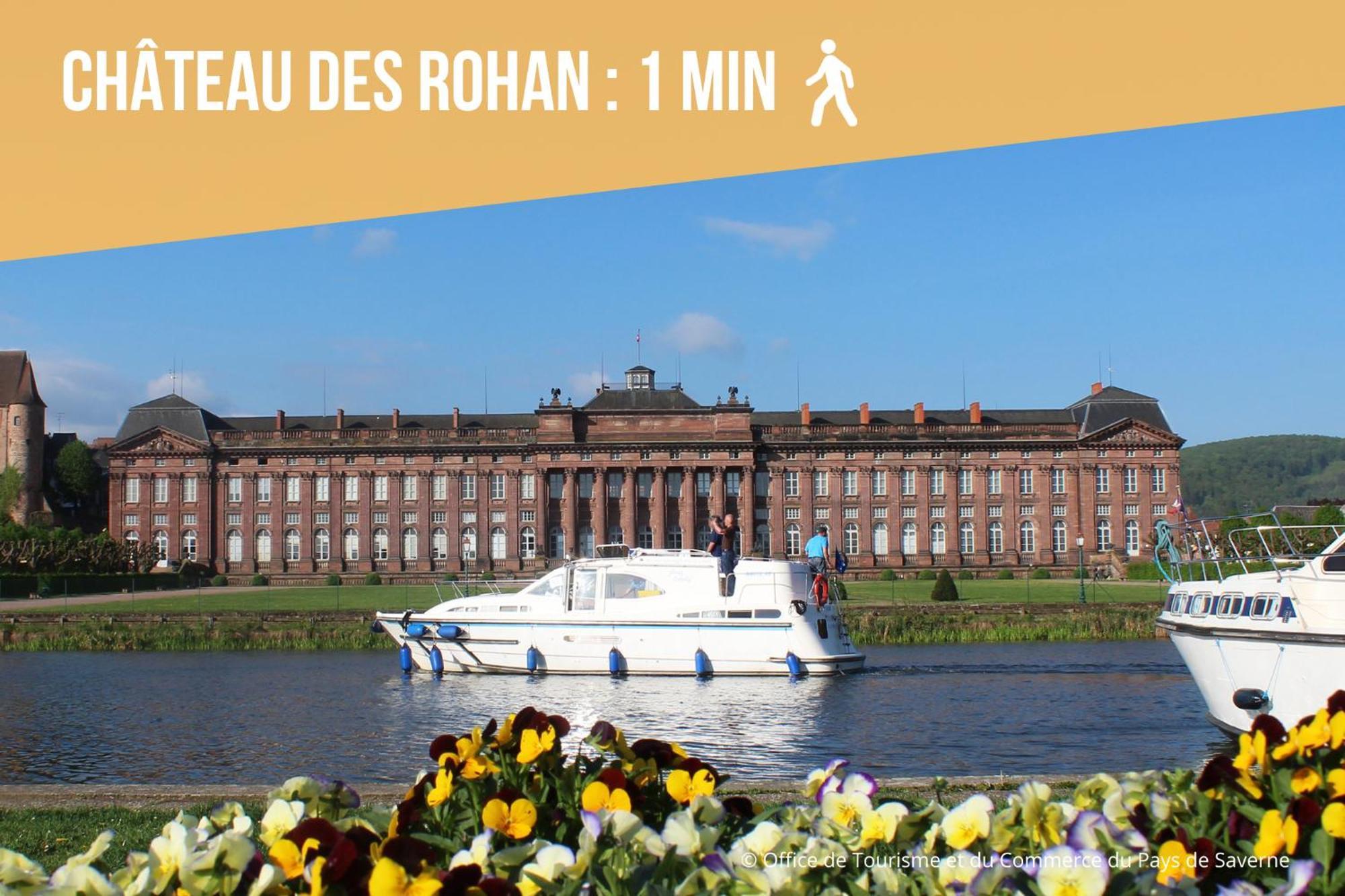 Les Rives Du Chateau, 90M2, Vue Sur Le Canal Saverne Exteriör bild
