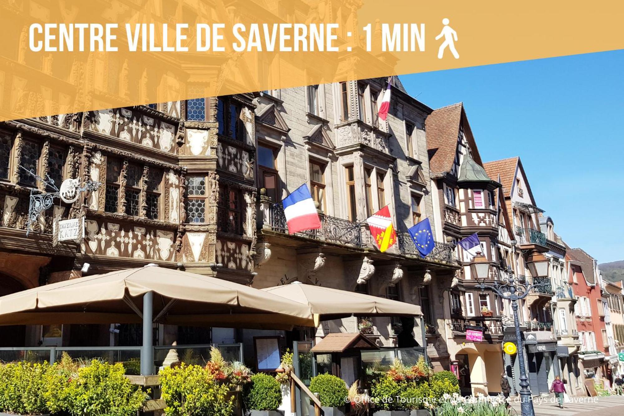Les Rives Du Chateau, 90M2, Vue Sur Le Canal Saverne Exteriör bild