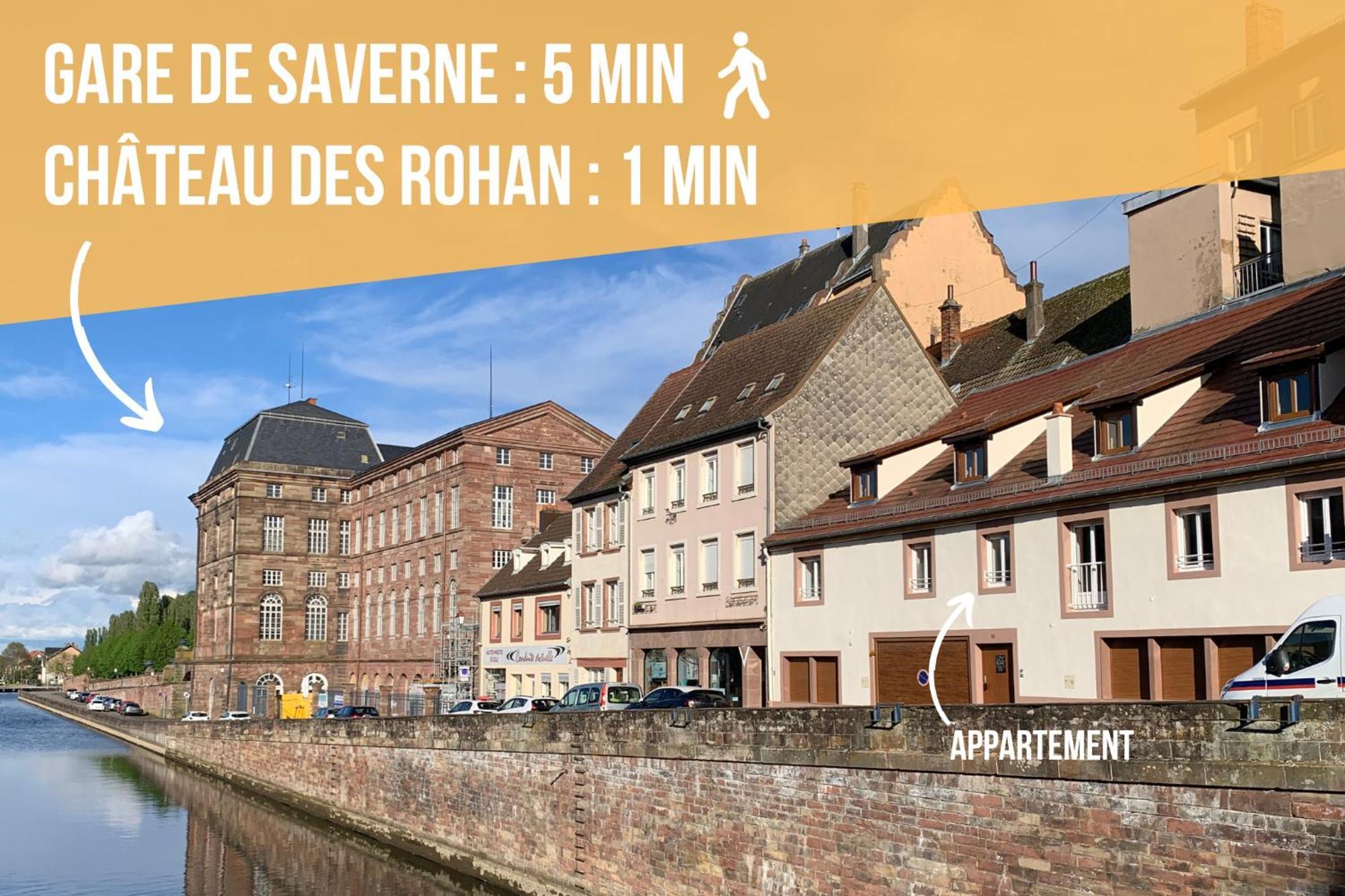 Les Rives Du Chateau, 90M2, Vue Sur Le Canal Saverne Exteriör bild